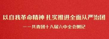 以自我革命精神 扎实推进全面从严治团——共青团十八届六中全会侧记
