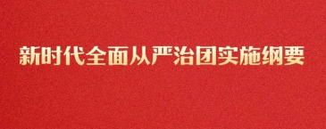 新时代全面从严治团实施纲要