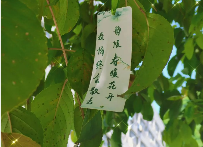 「定格校园光影，彰显青春风采」“镜头中的校园生活”摄影作品线上投票正式开始啦