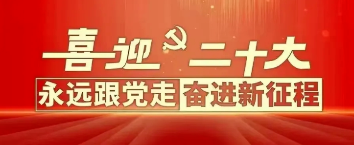 百年党史，青年当行|计信学院百年妙绘实践活动—“喜迎二十大，青年向未来”手抄报优秀作品展示