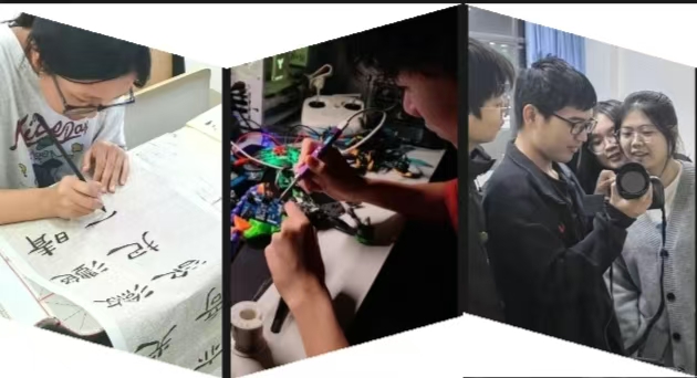 怎么折，都有------