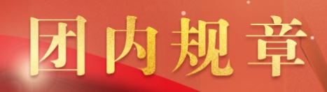 中国共产主义青年团基层组织选举工作条例