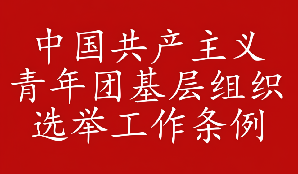 中国共产主义青年团基层组织选举工作条例